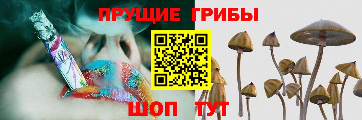 Галлюциногенные грибы Magic Shrooms  Вход с VPN  Светлоград 